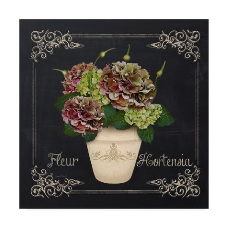 Jean Plout 'Fleur Hortensia 7' Canvas Art,24x24